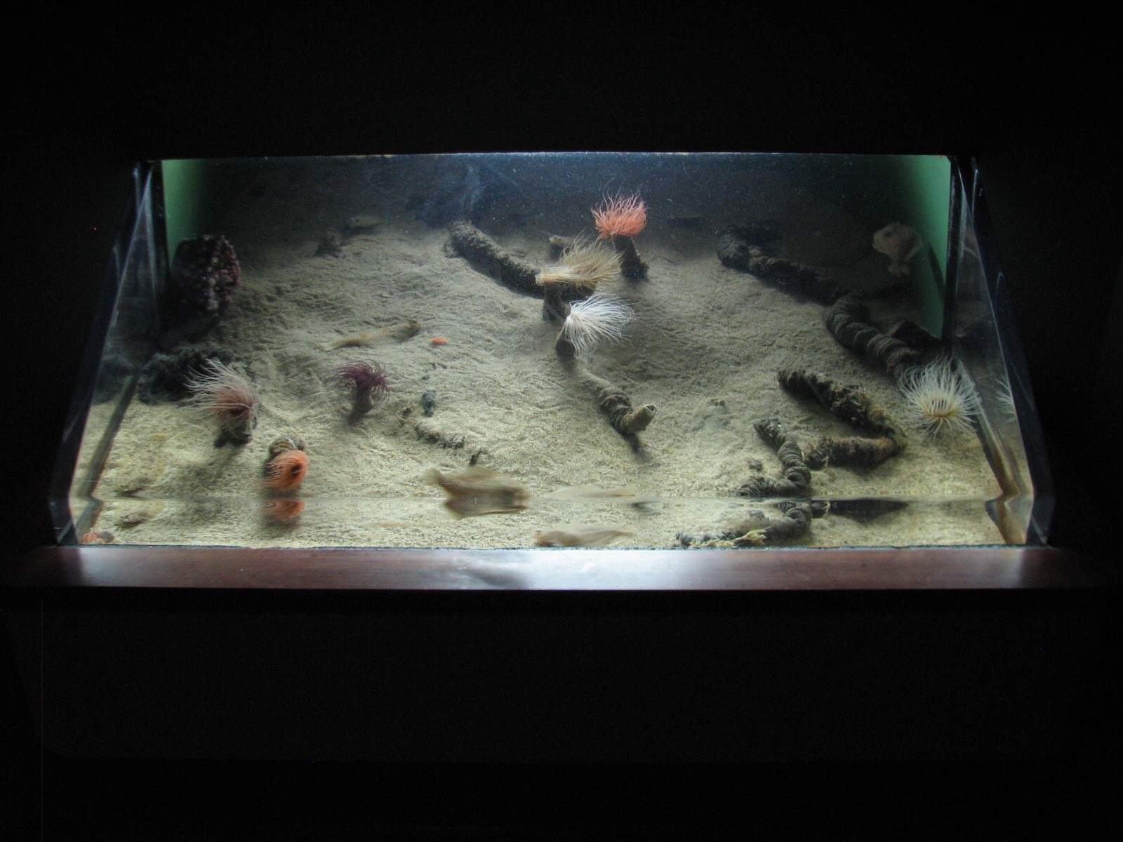 California Coast - Exhibit