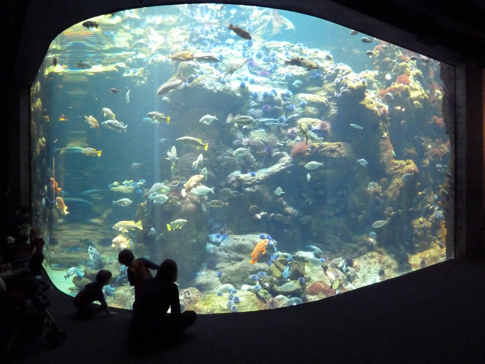 California Coast Exhibit
