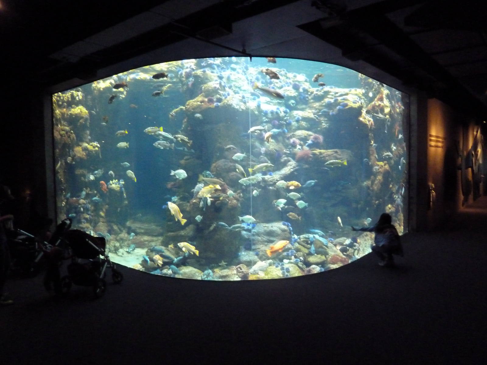 California Coast Exhibit