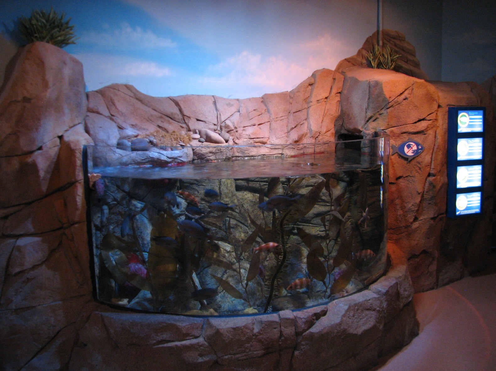 California Coast - Open-top Exhibit