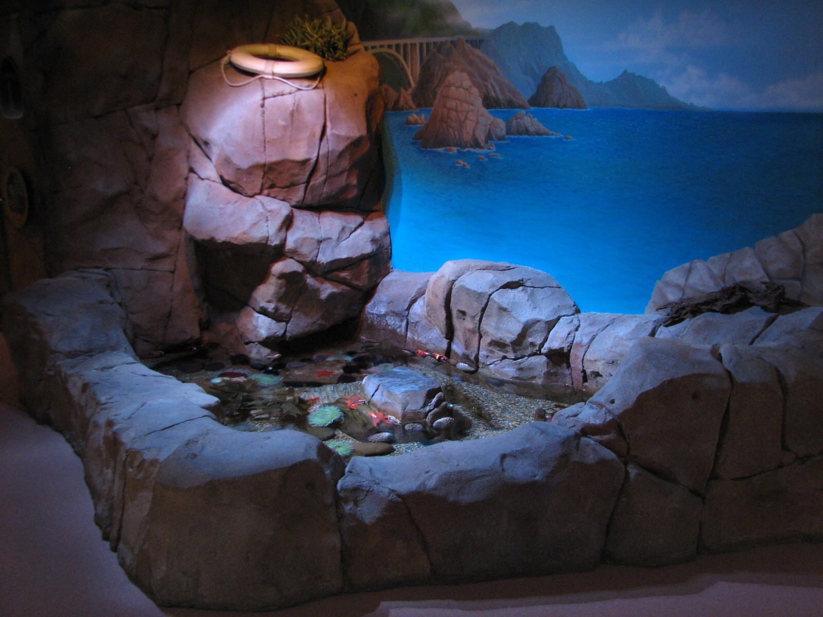 California Coast - Tide Pool Exhibit