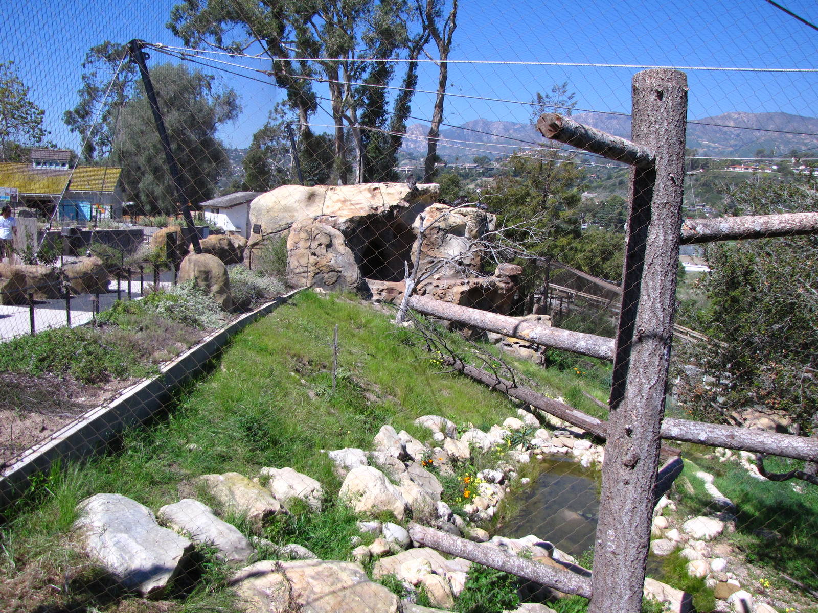 California Condor Aviary - California Trails