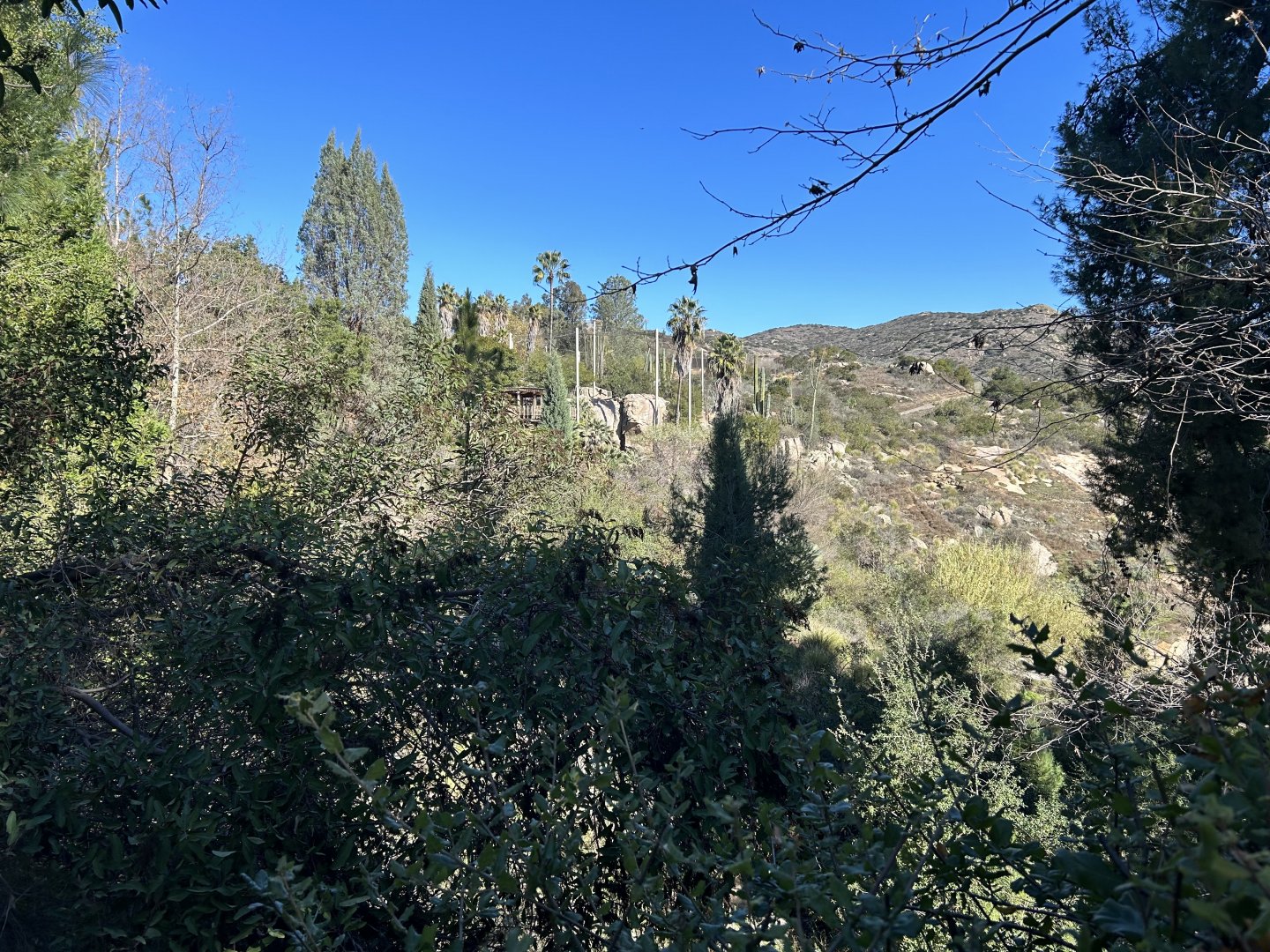 California Condor Aviary from a Distance