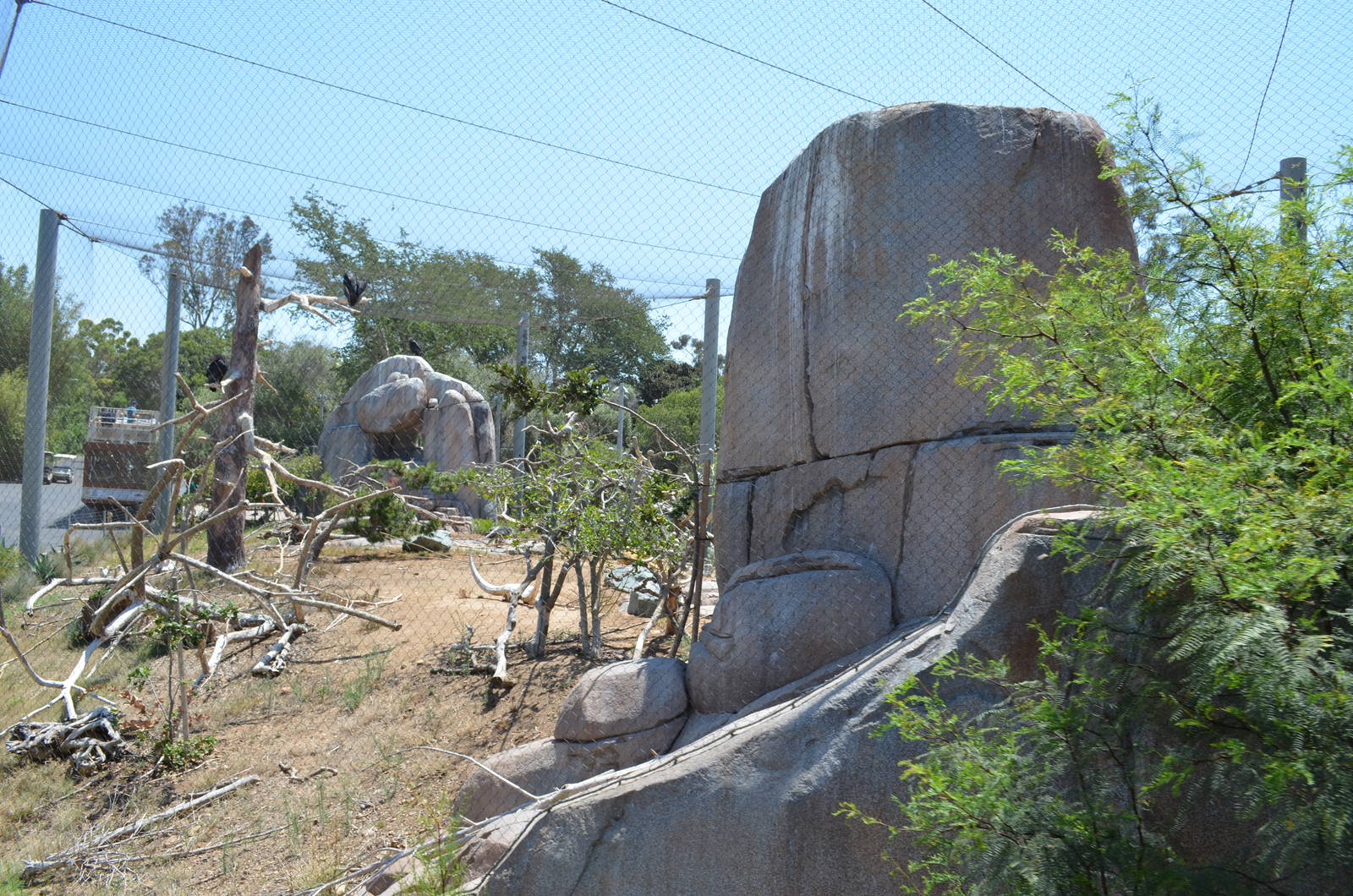 California Condor Aviary