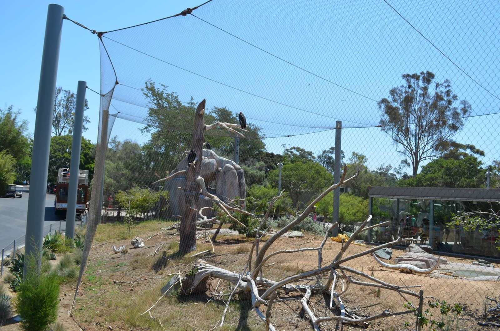 California Condor Aviary