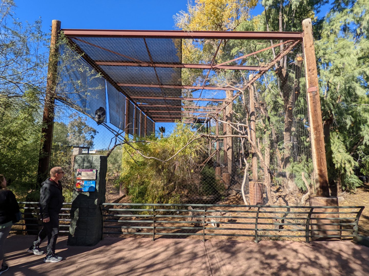 California condor aviary