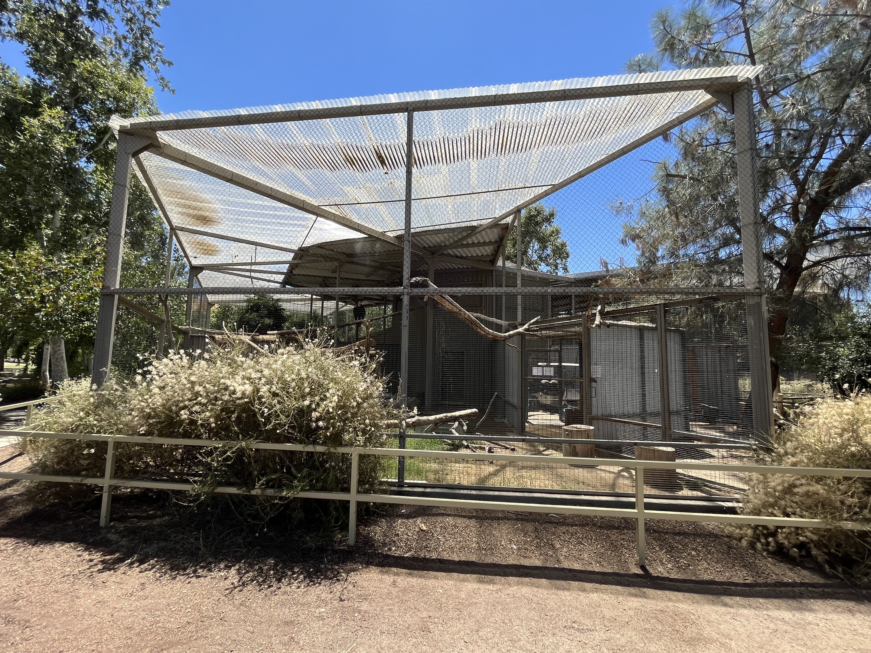 California Condor Aviary