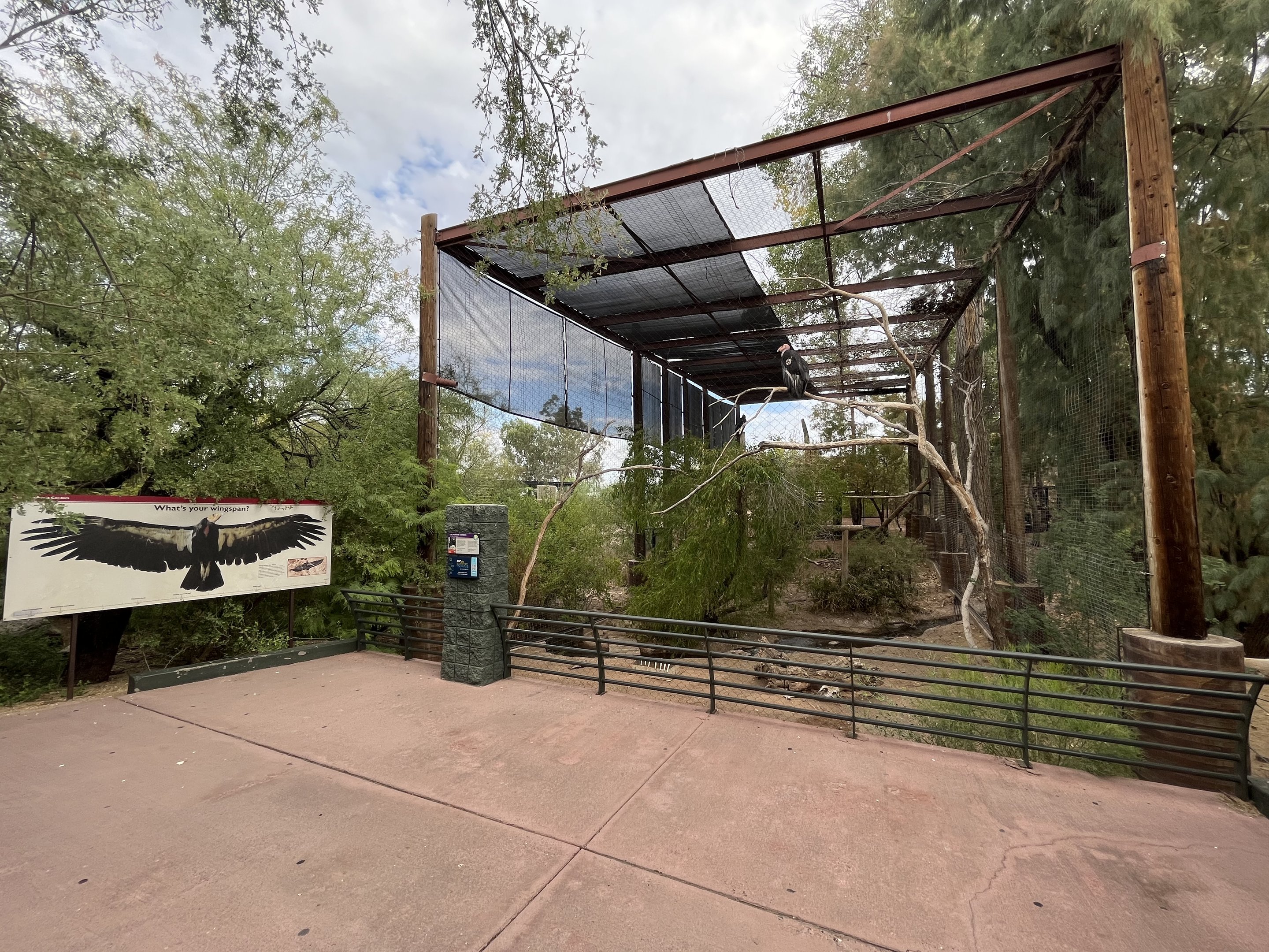 California Condor Aviary