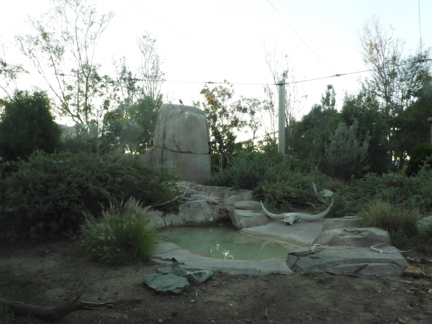 California condor enclosure