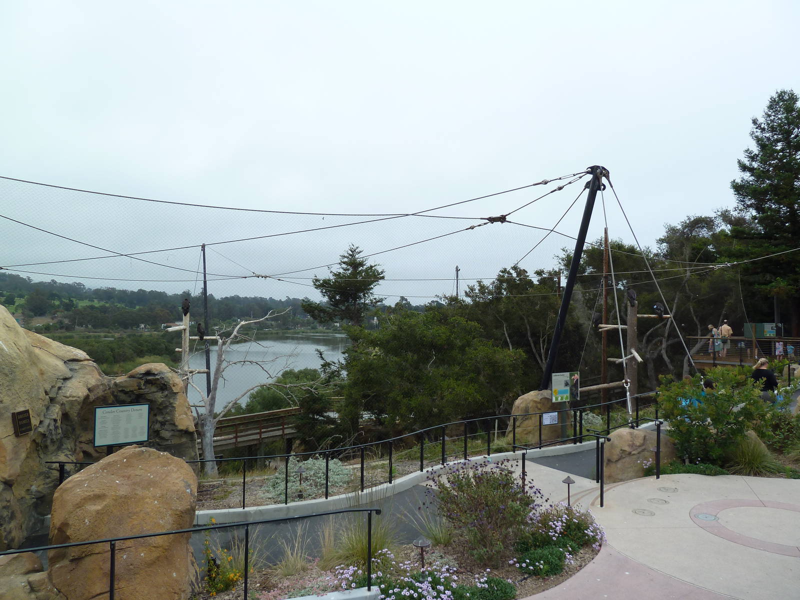 California Condor Exhibit