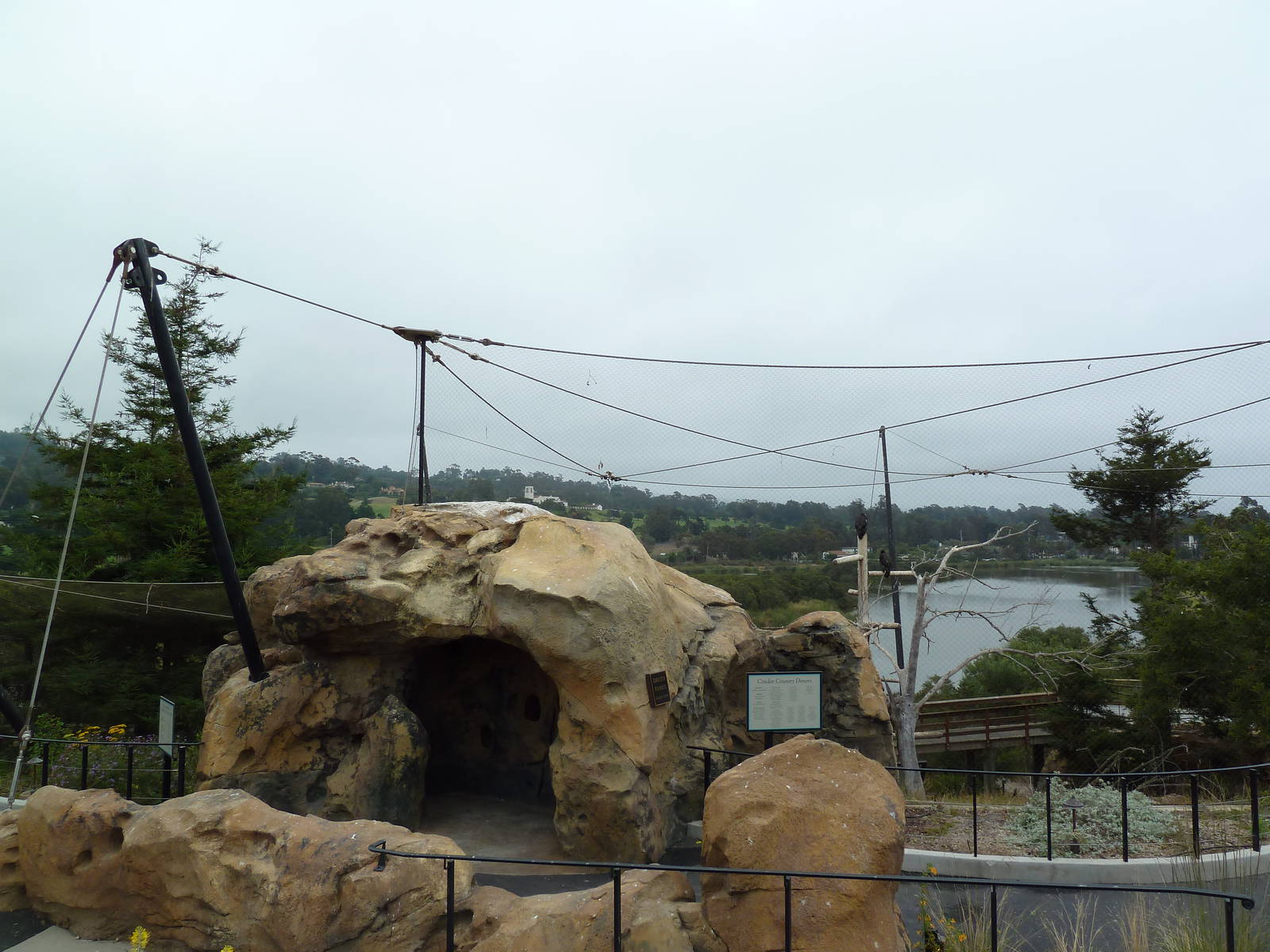 California Condor Exhibit
