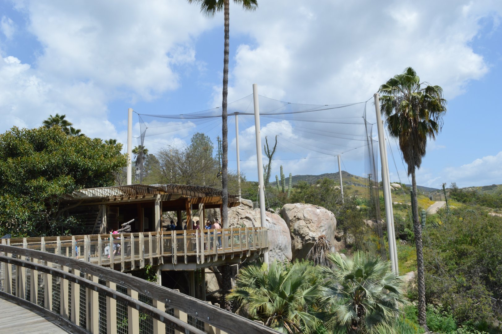 California Condor Exhibit