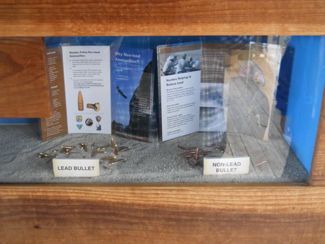 California condor lead vs. unleaded bullet exhibit
