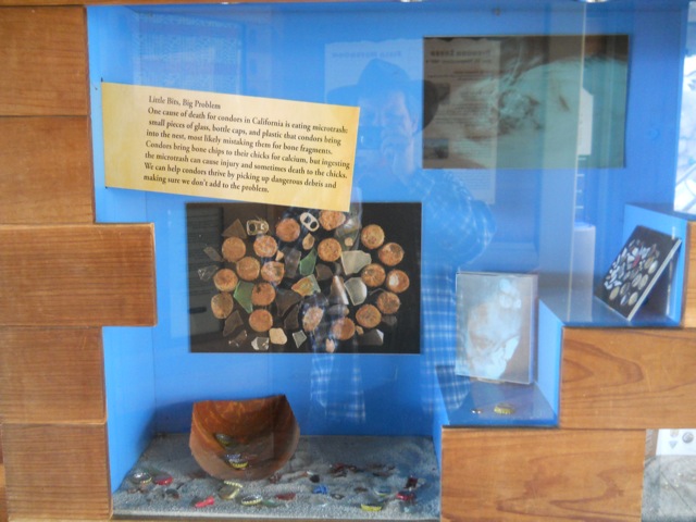 California condor microtrash conservation exhibit