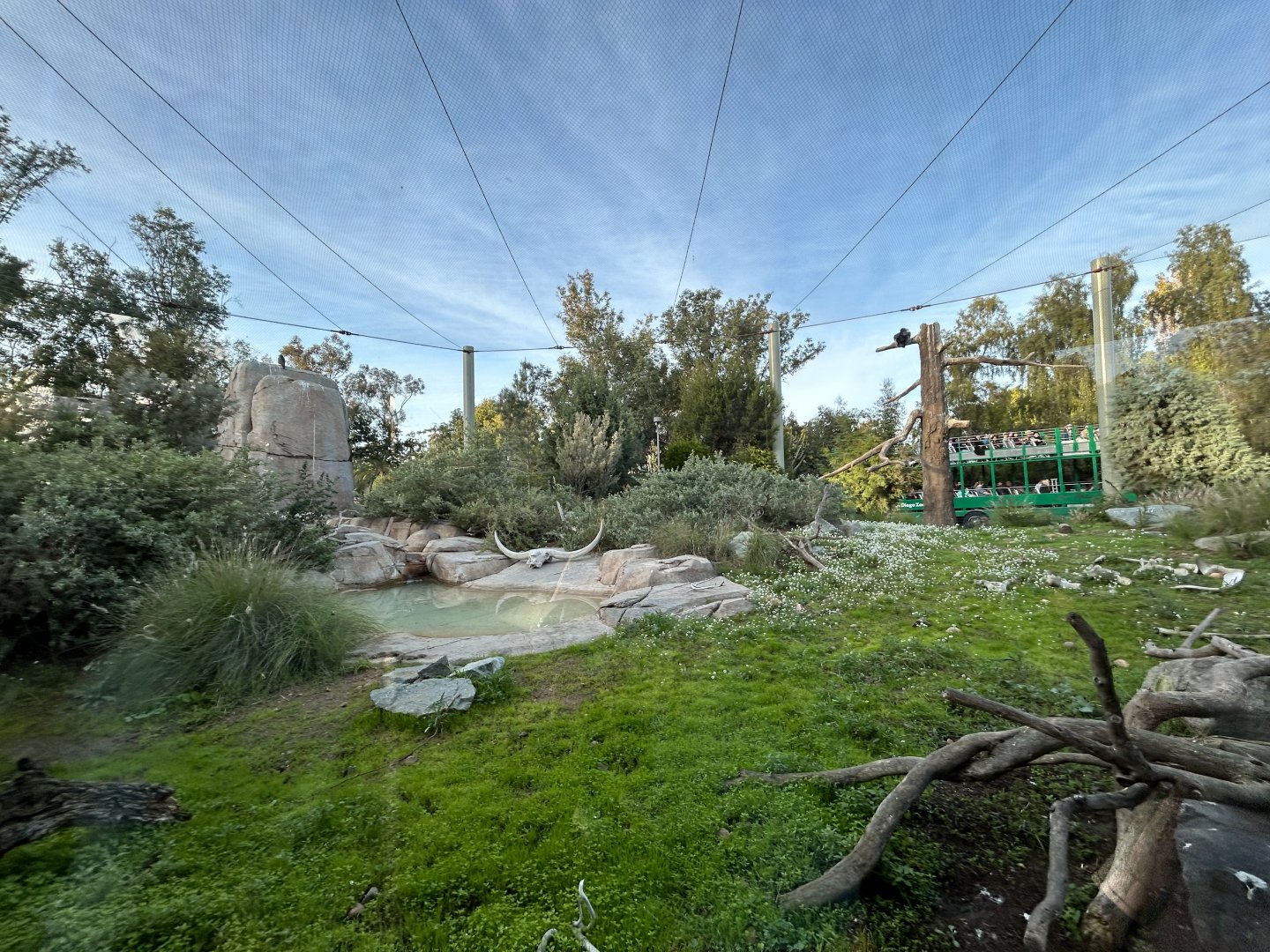 California Condor & Raven Aviary - Elephant Odyssey