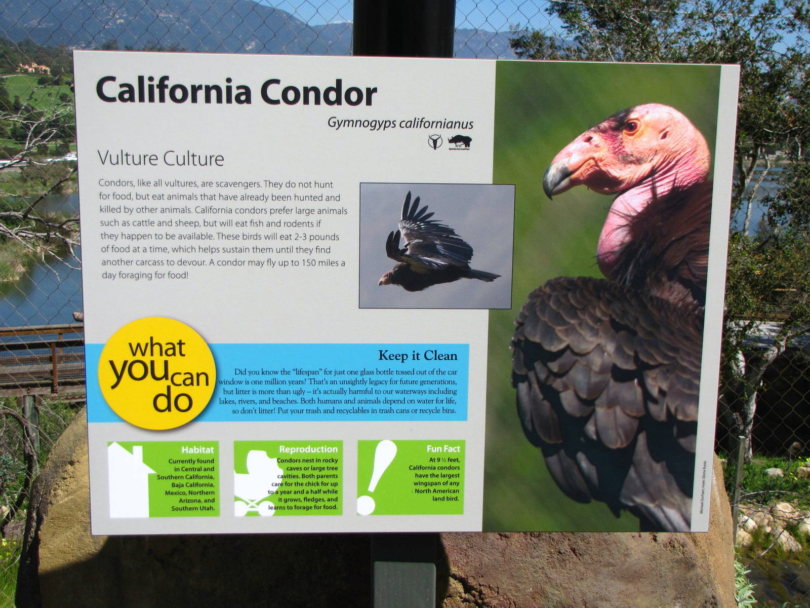 California Condor Signage