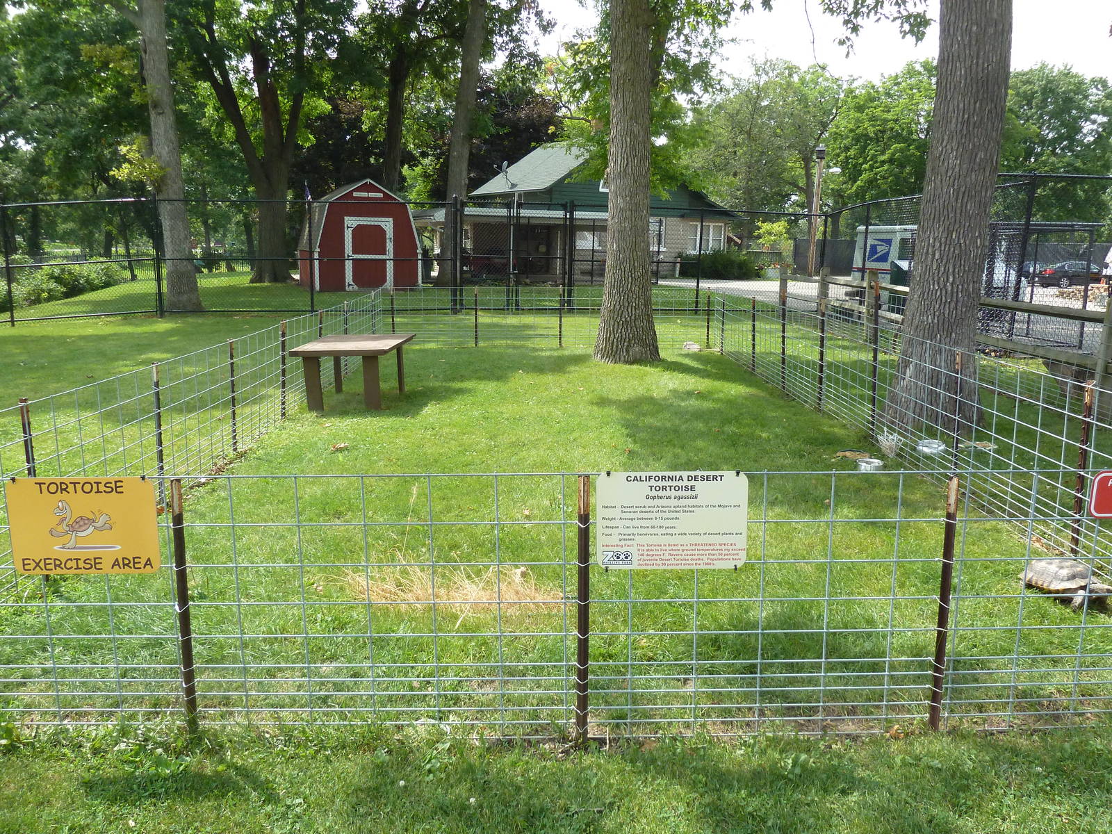 California Desert Tortoise Exhibit