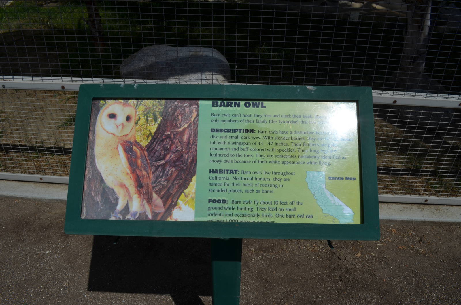 California Living Museum - Barn Owl Signage