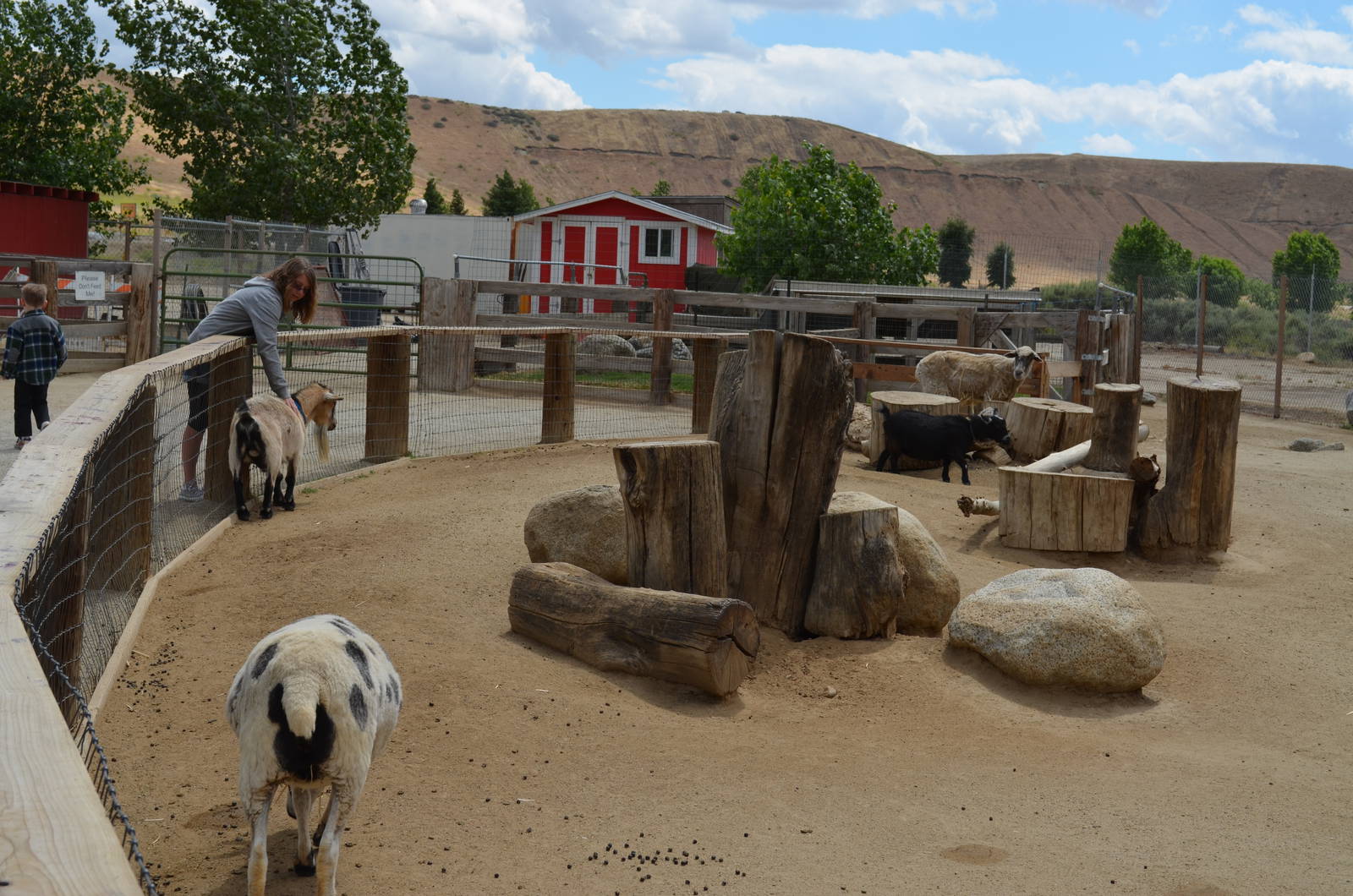 California Living Museum - Barnyard Display