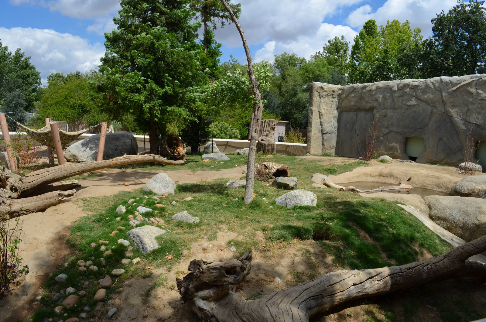 California Living Museum - Black Bear Habitat