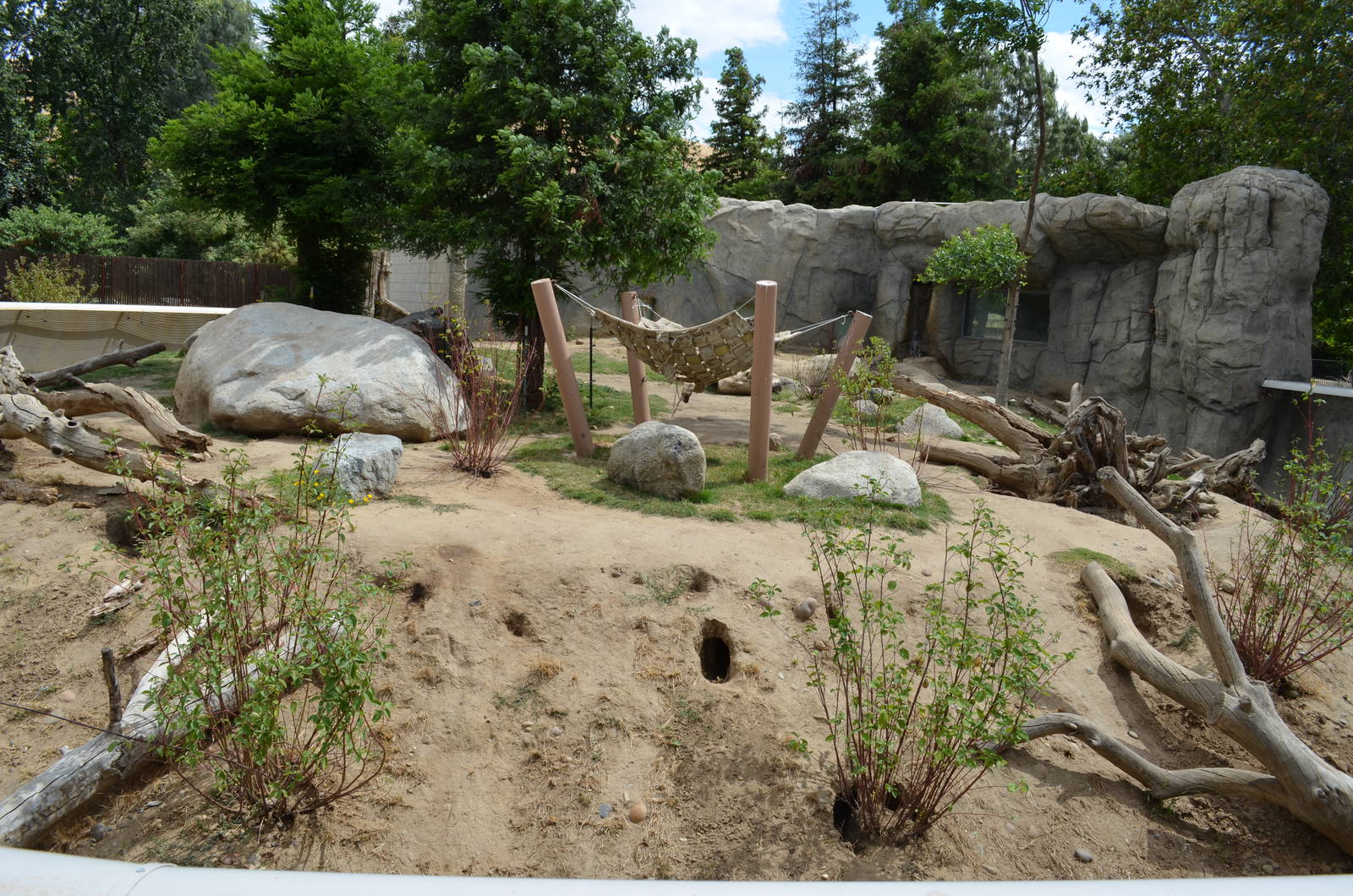 California Living Museum - Black Bear Habitat