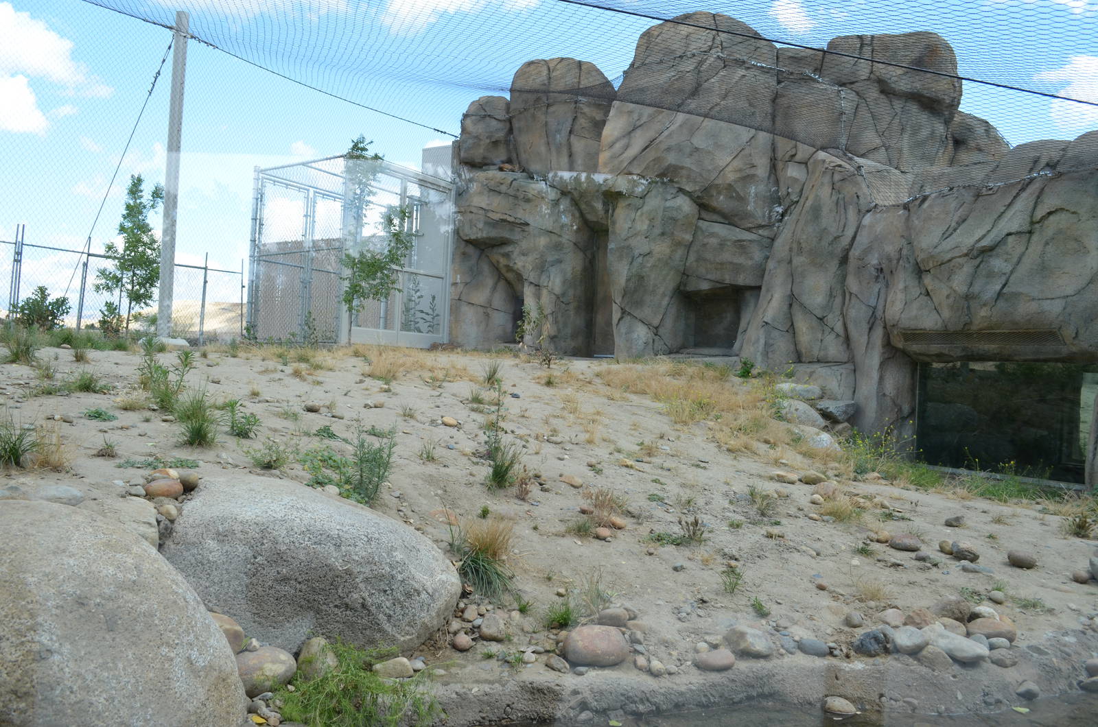 California Living Museum - Bobcat Habitat