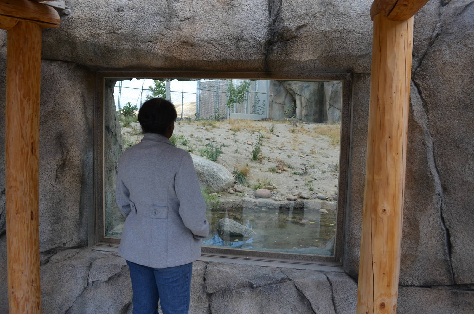 California Living Museum - Cats of California