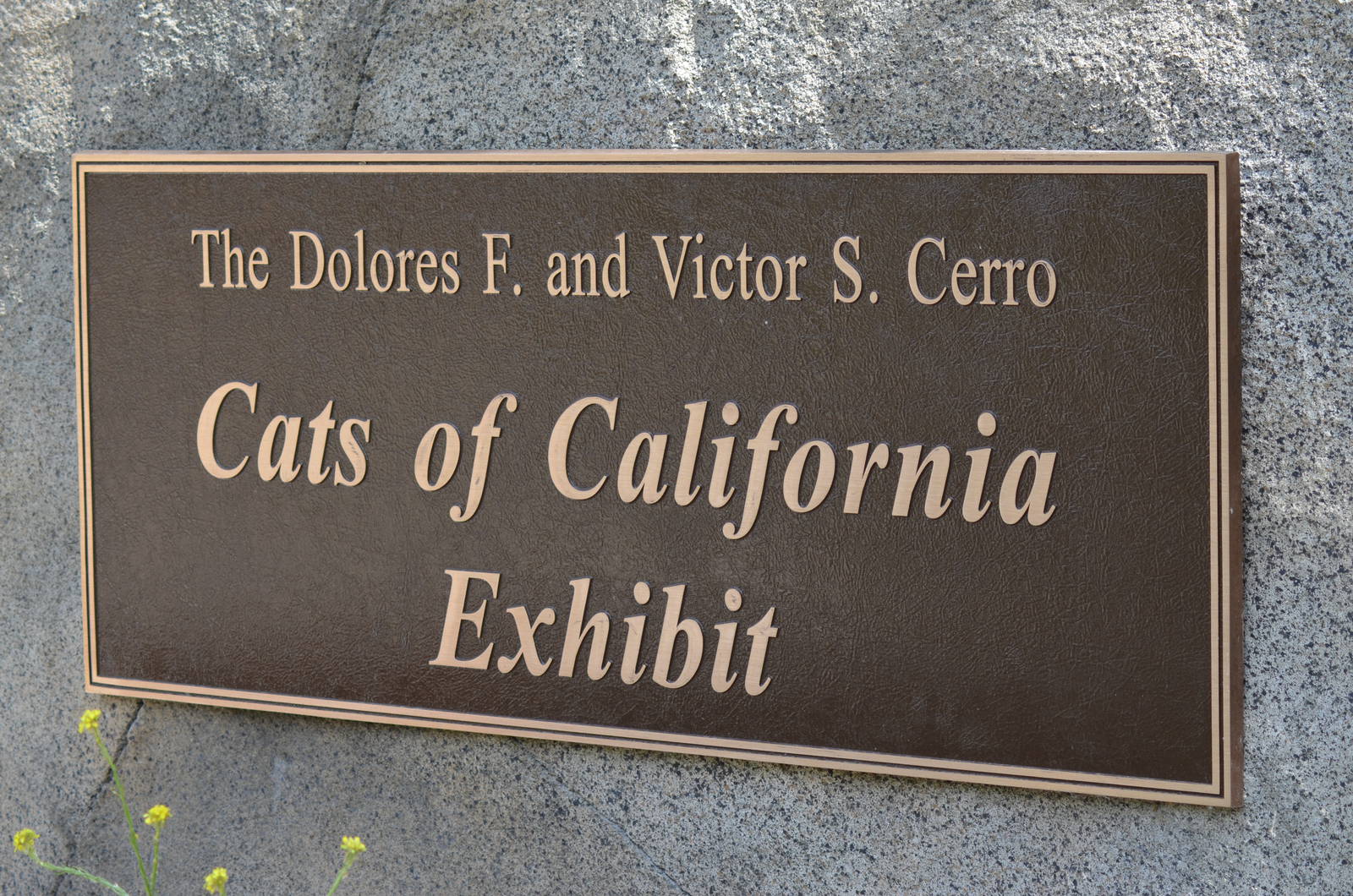 California Living Museum - Cats of California
