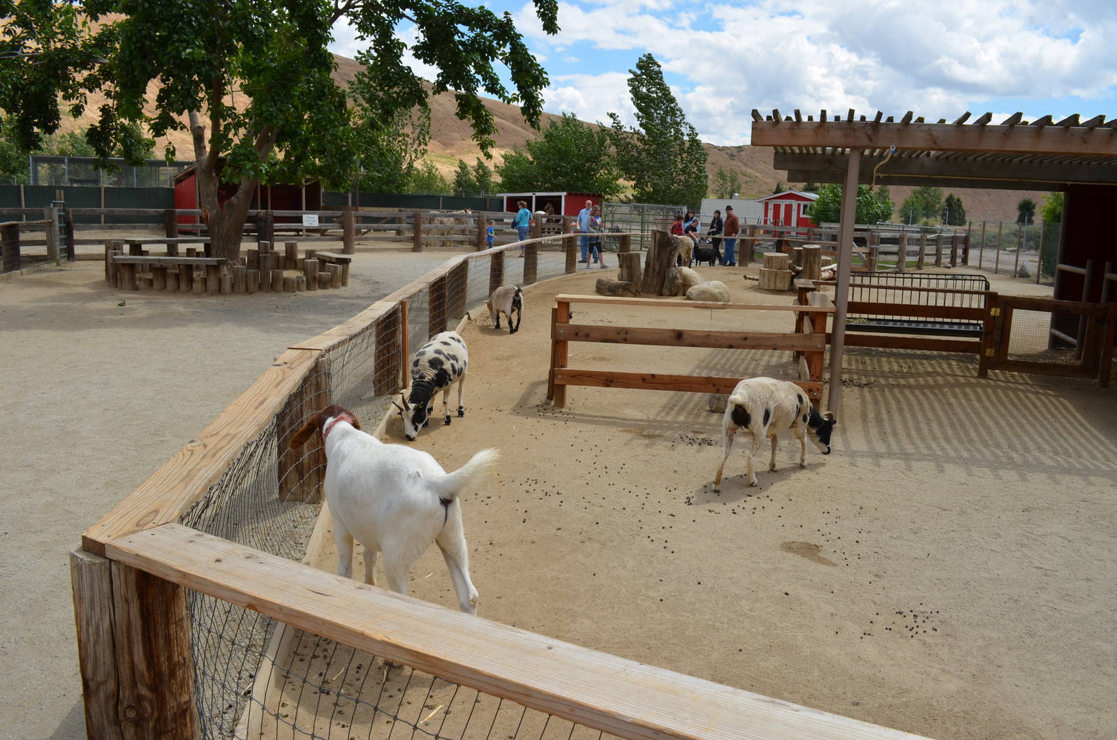 California Living Museum - Children's Park