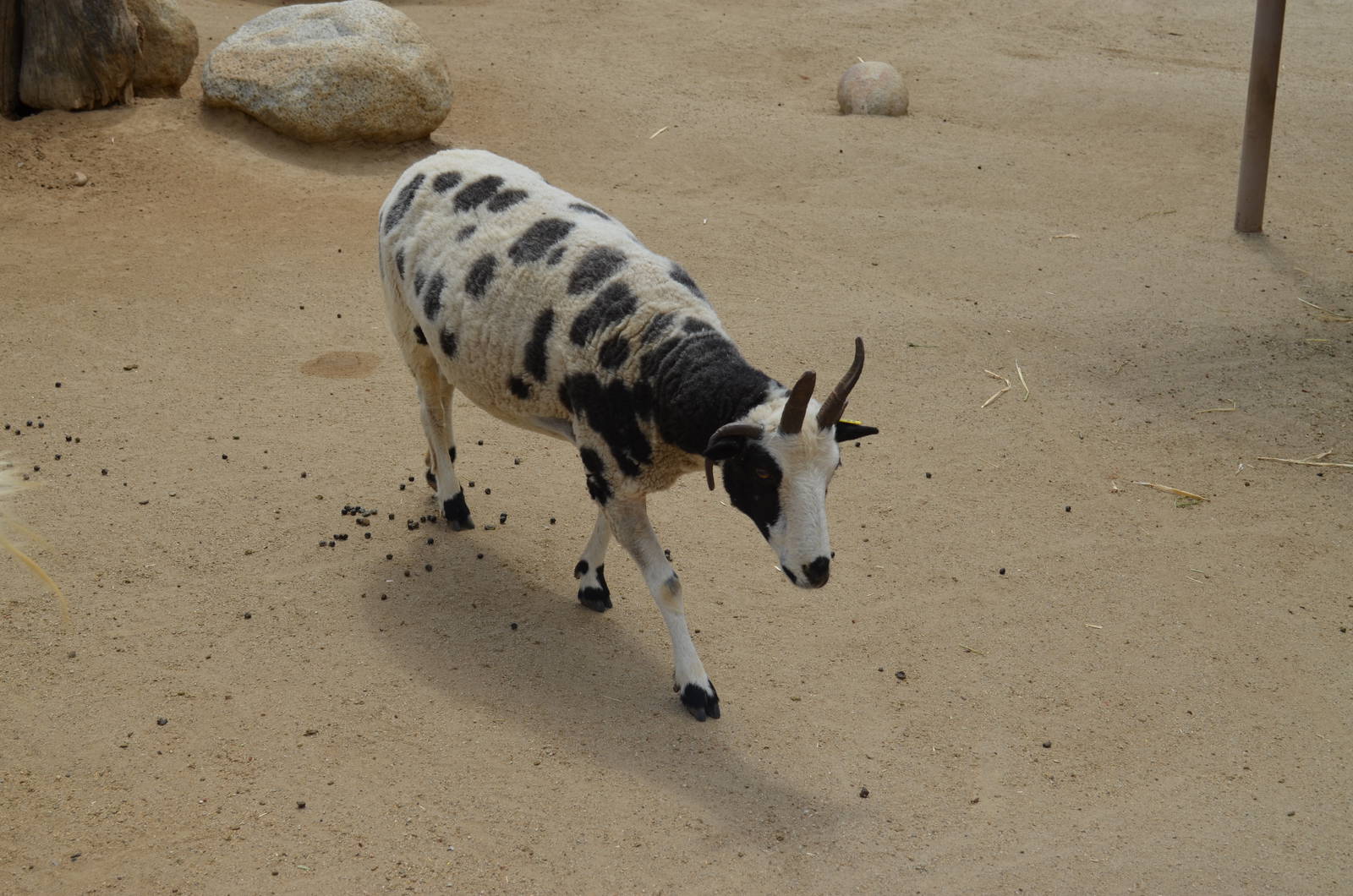 California Living Museum - Children's Park