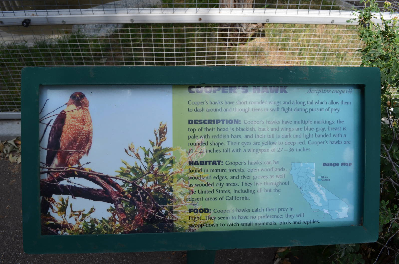 California Living Museum - Cooper's Hawk Signage