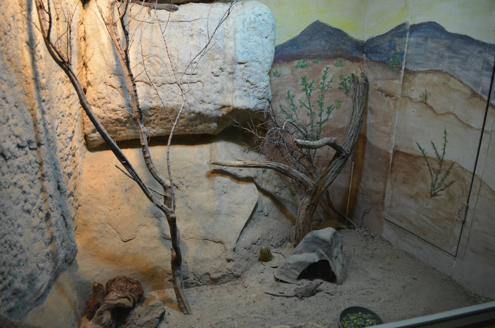 California Living Museum - Desert Exhibit