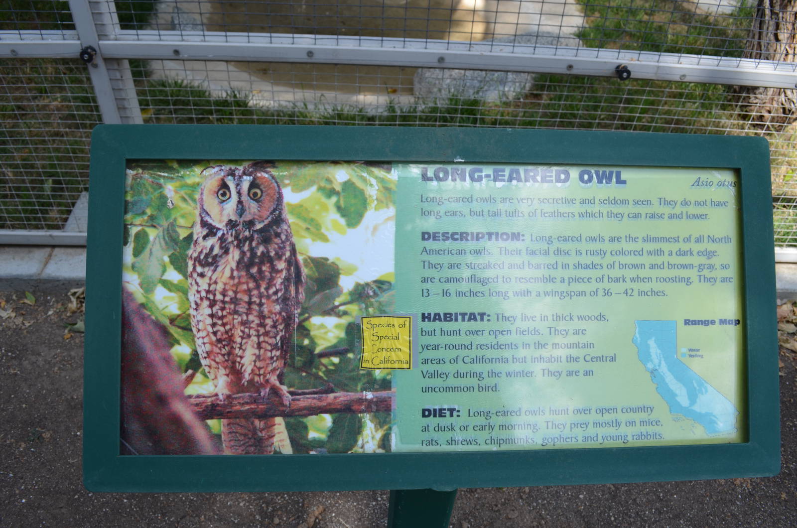 California Living Museum - Long -faced Owl Signage