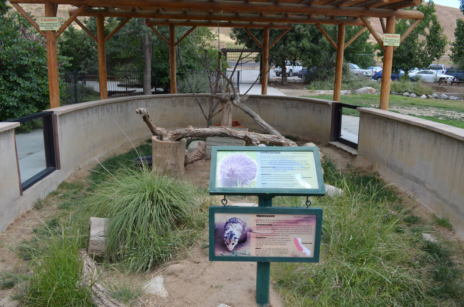 California Living Museum - Porcupine and Opossum Exhibit