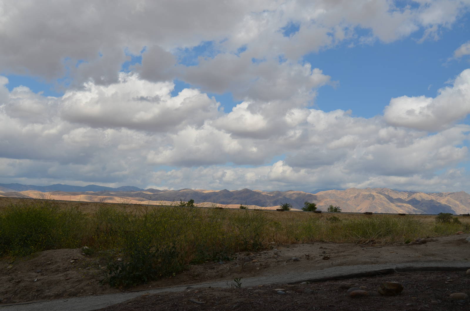 California Living Museum - Surrounding Area