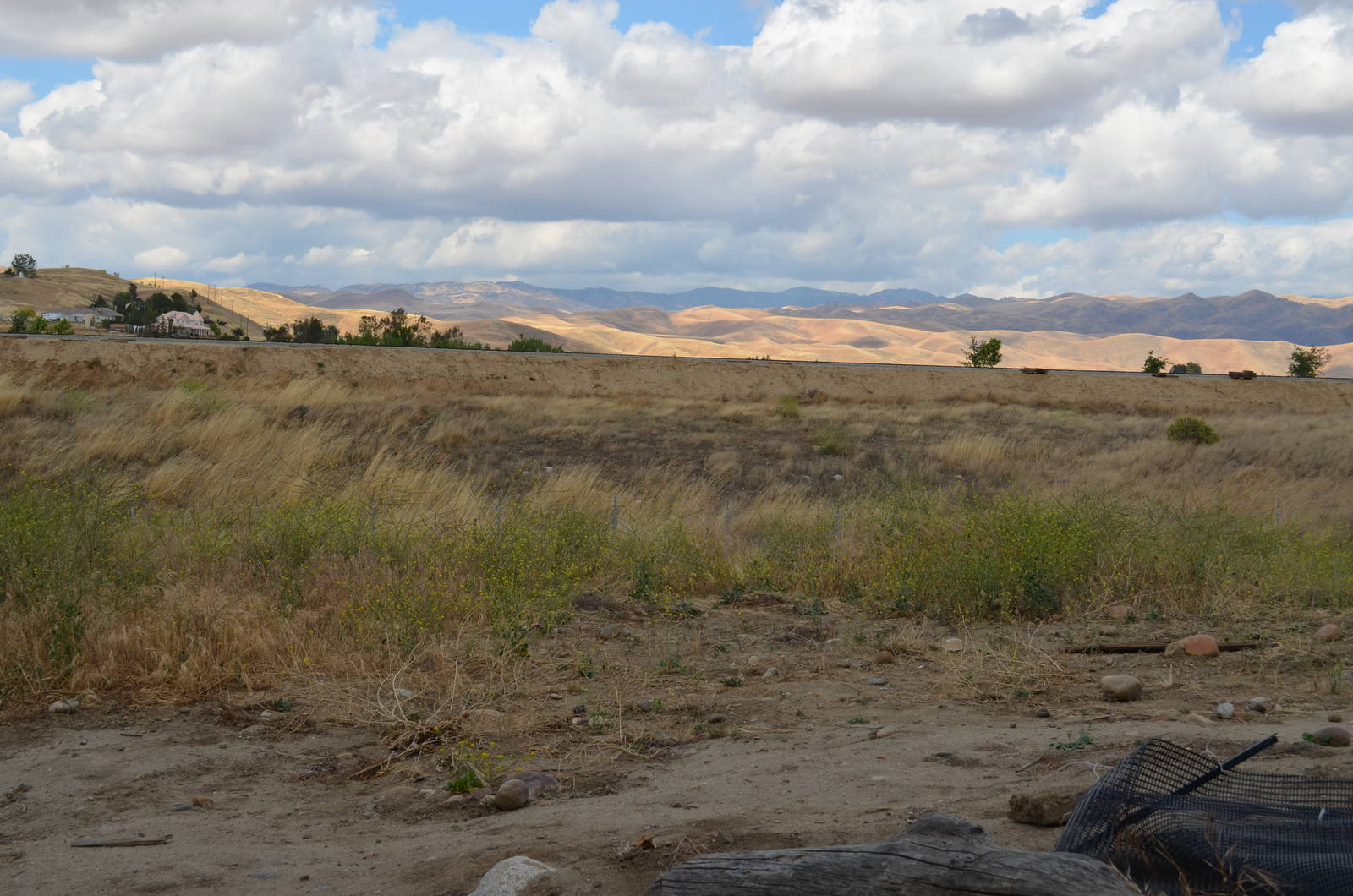 California Living Museum - Surrounding Area