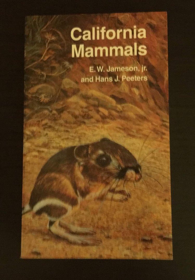 California Mammals