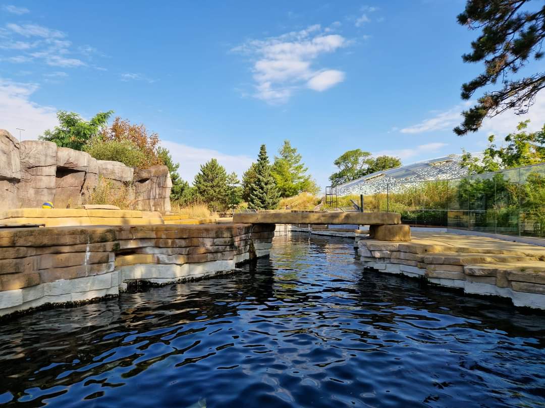California Sae Lion exhibit