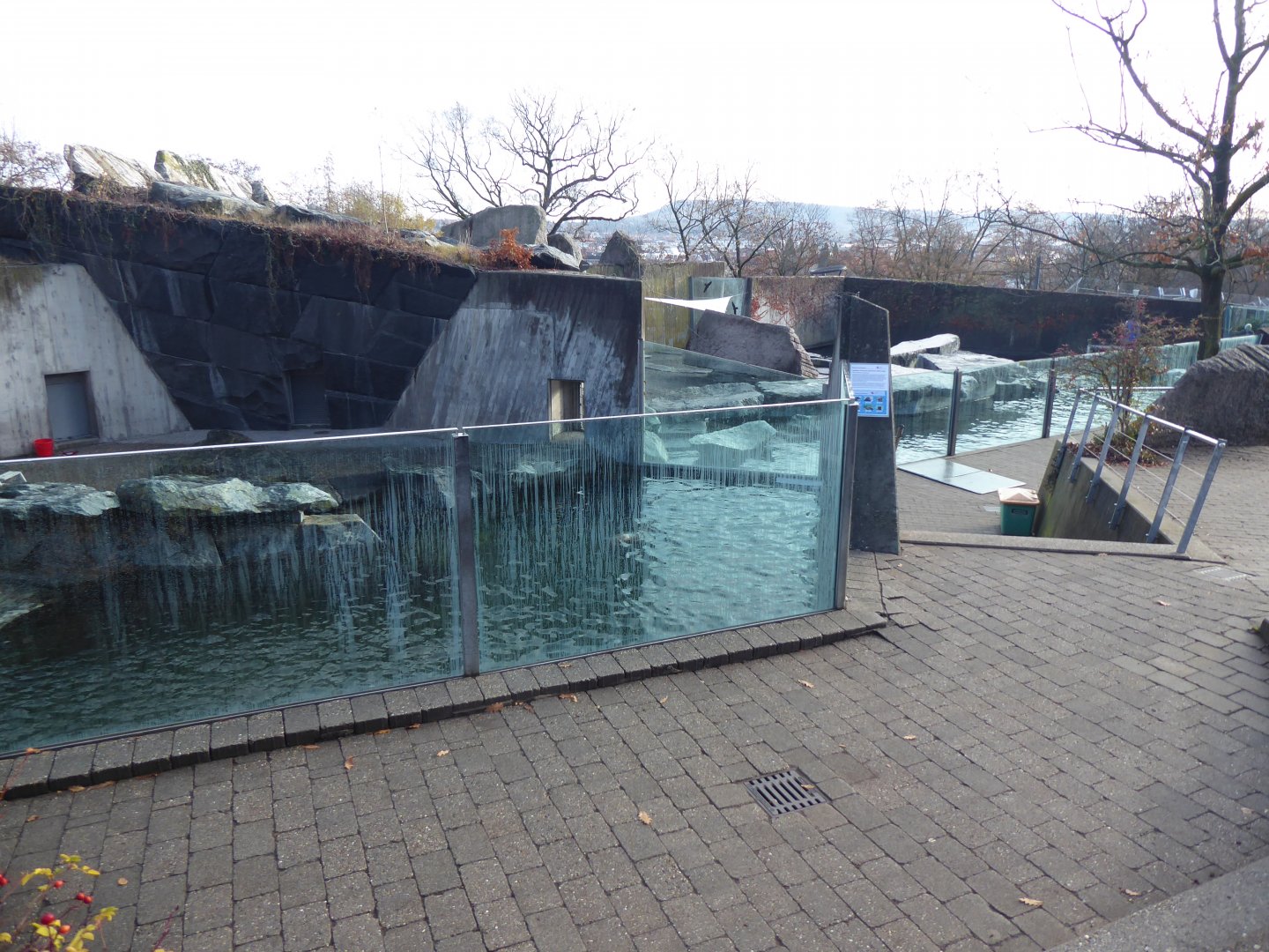 California sea-lion enclosure 011218