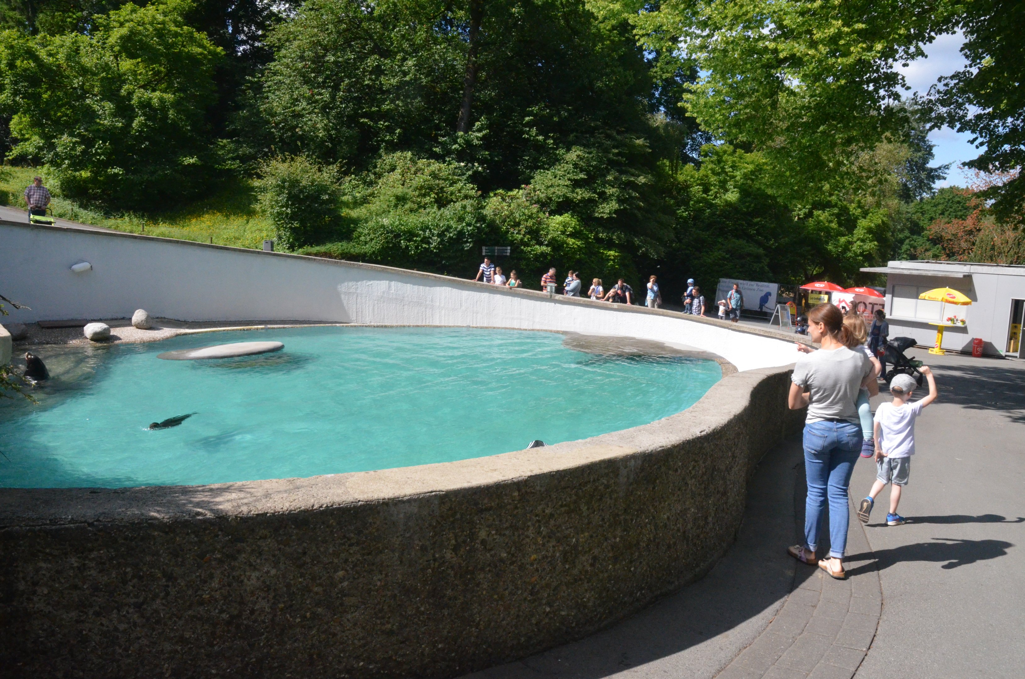 California Sea Lion Enclosure at Wuppertal, 16/06/19