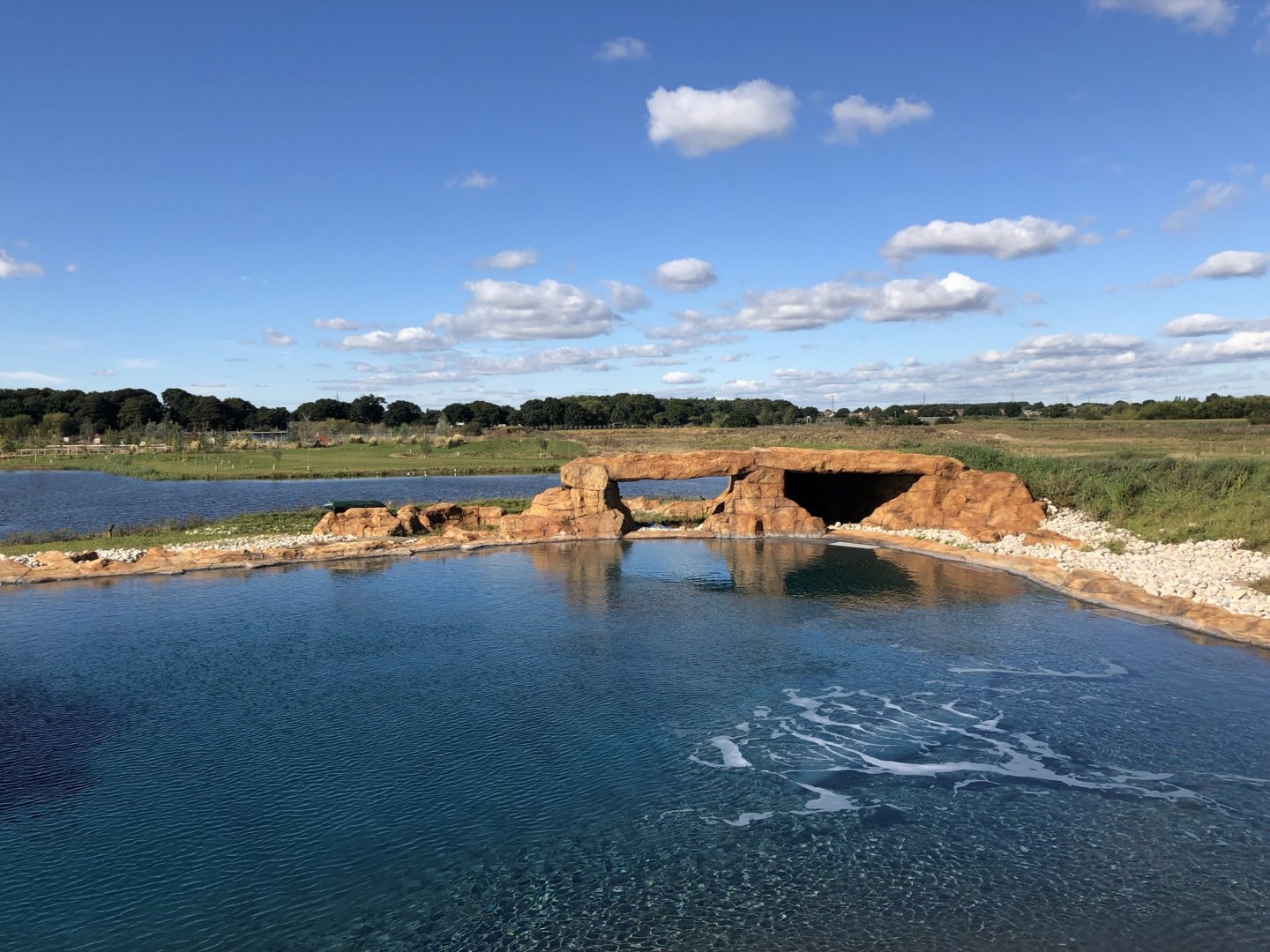 California Sea Lion Enclosure at Yorkshire Wildlife Park (October 2021)