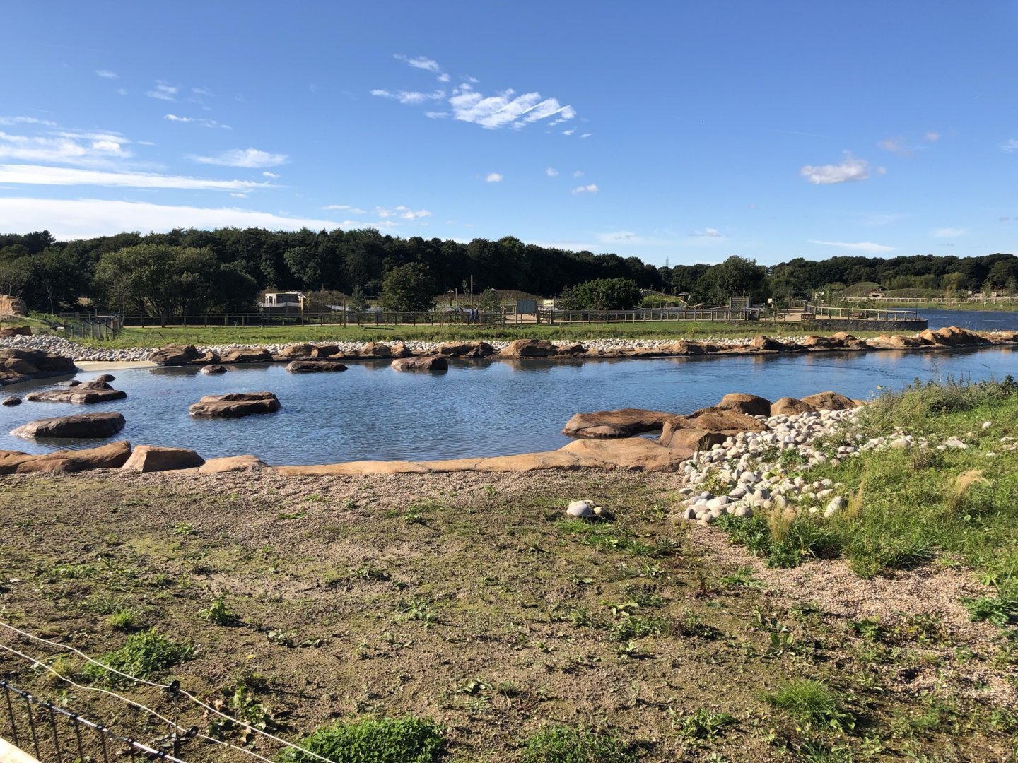 California Sea Lion Enclosure at Yorkshire Wildlife Park (October 2021)