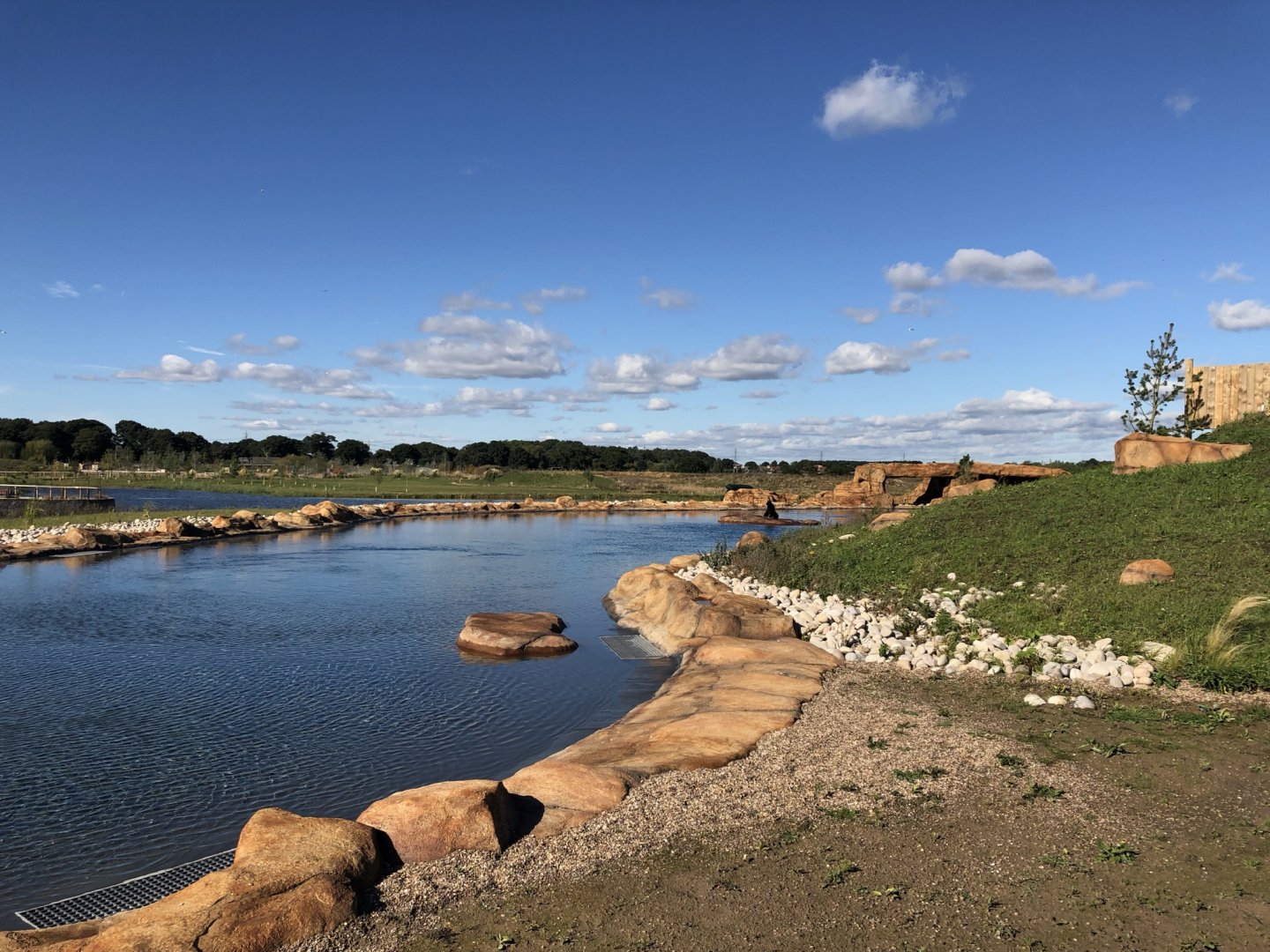 California Sea Lion Enclosure at Yorkshire Wildlife Park (October 2021)