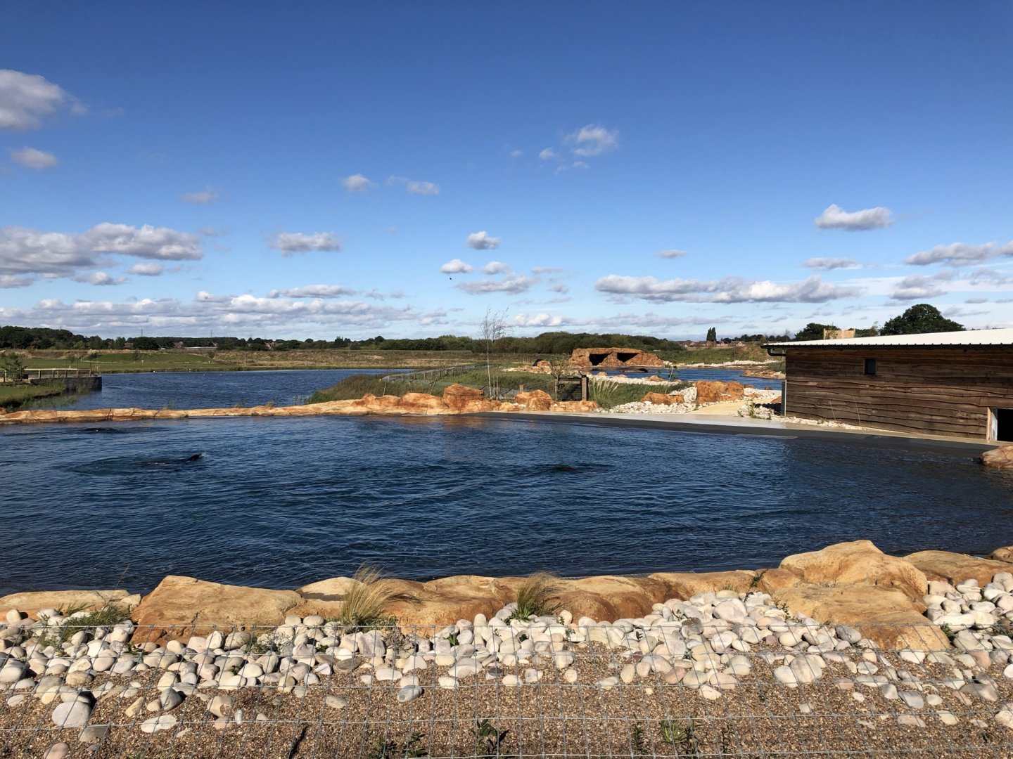 California Sea Lion Enclosure at Yorkshire Wildlife Park (October 2021)