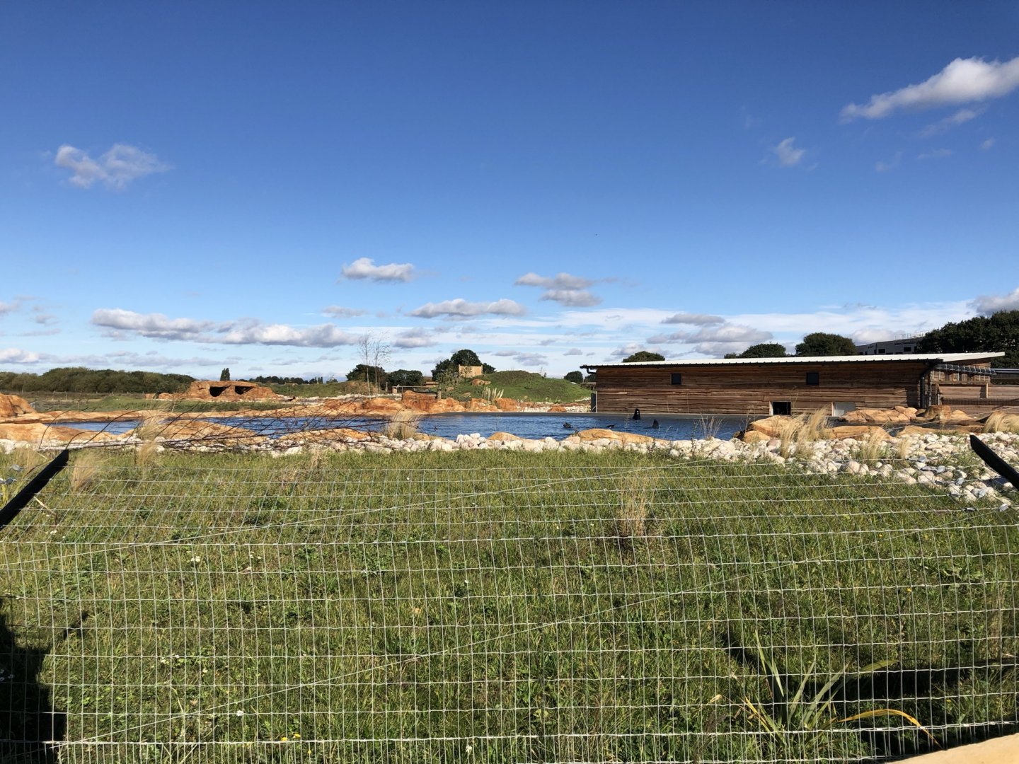 California Sea Lion Enclosure at Yorkshire Wildlife Park (October 2021)