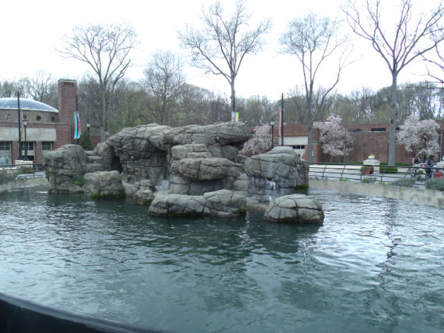 California Sea Lion Enclosure