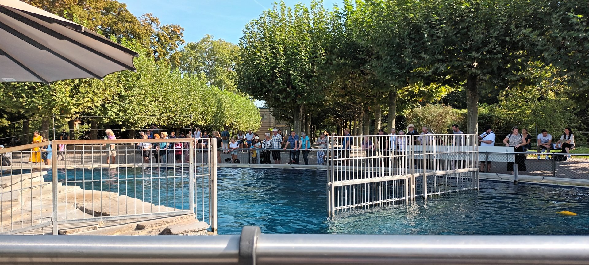 California Sea Lion Enclosure