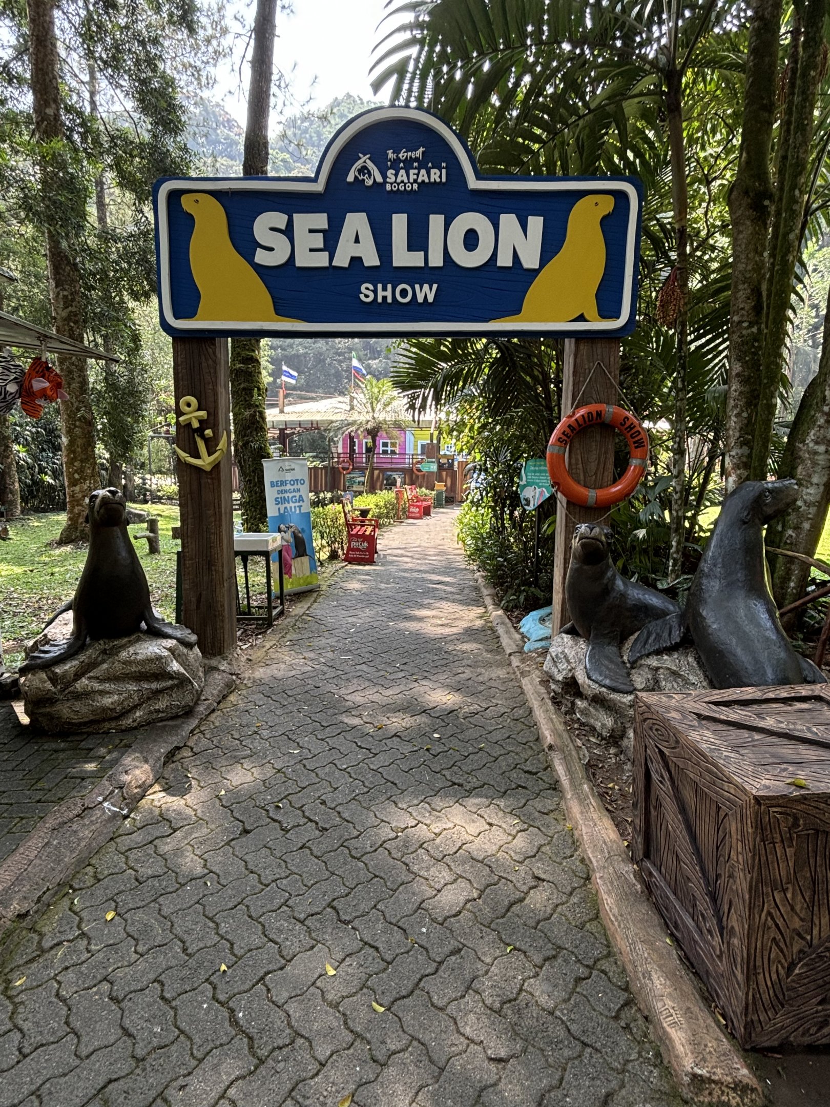 California Sea Lion Entrance Area