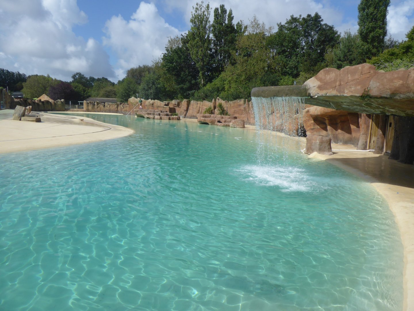 California sea-lion exhibit 040817