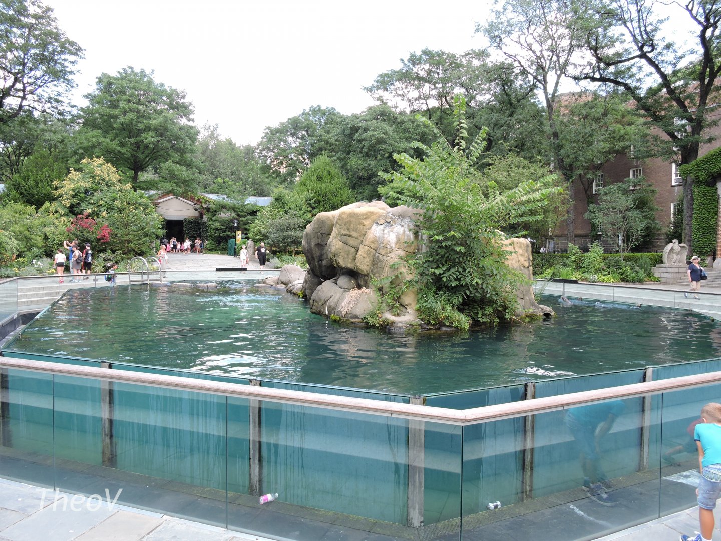 California sea lion exhibit [2015]